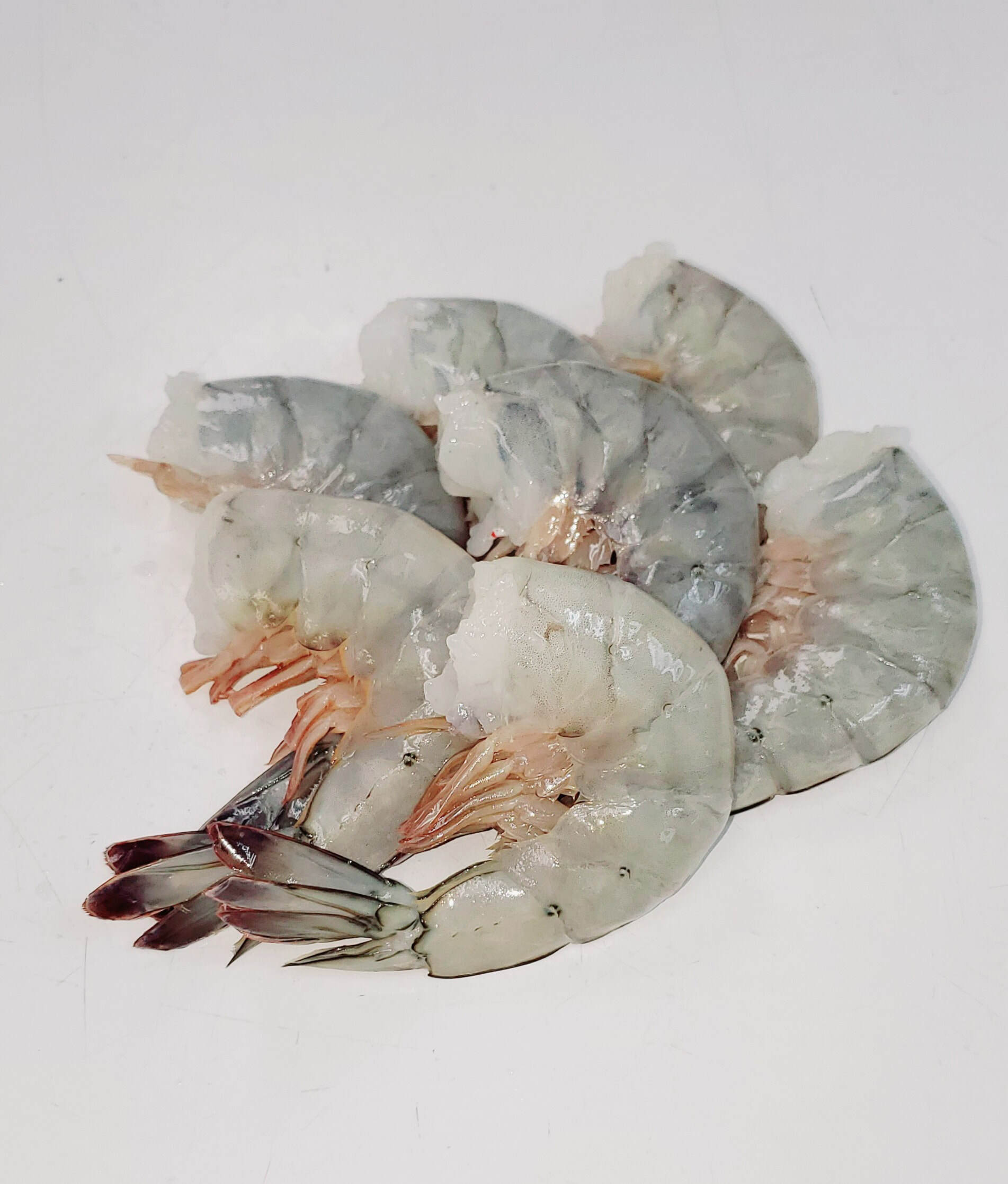Frozen Shrimps PD 8/12 | Titan Seas